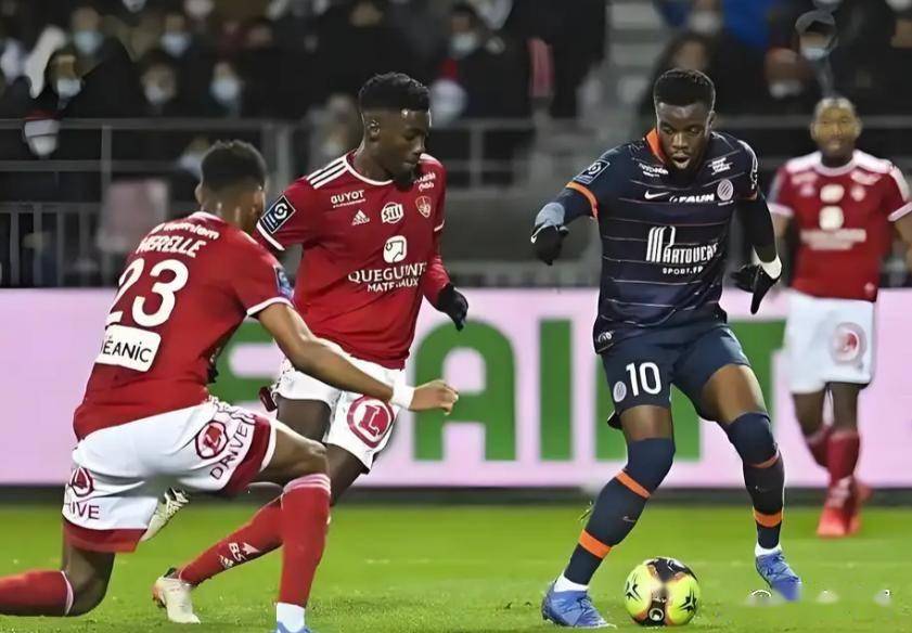 包含从赛前布莱顿备战法国杯到清晨勒沃库森调整名单以备德甲，费耶诺德回应争议备战英超的词条