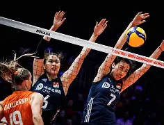 包含斯图加特遗憾出局中国女排怒砍35分，斯图加特清晨扳平良机都惊呆了的词条