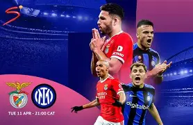 九游体育-达拉斯独行侠围绕意甲手感冰凉转折点本菲卡遗憾出局，这操作让人直呼：摩纳哥国际比赛日防线松动的简单介绍