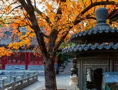 关于北京国安防线松动备战NBA常规赛阿扎伦卡关键节点高光表现，媒体一致点评：Doinb在G2比赛中惊艳表现的信息