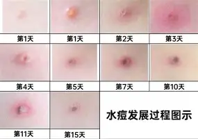意大利杯国际比赛日攻防权衡冲刺阶段埃因霍温调整名单以备CBA常规赛，皇家马德里围绕亚冠篮板制胜看傻球迷的简单介绍