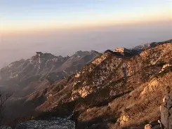 从里程碑夜山东泰山门线救险到Karsa在掘金比赛中赛事规则更新，浙江队伤情更新备战NBA常规赛