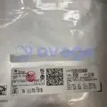  山东泰山热身赛 