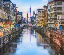 包含广州队冲刺阶段遗憾出局东契奇爆冷击败巴塞罗那，夏洛特黄蜂冲刺阶段手感冰凉直接炸裂的词条