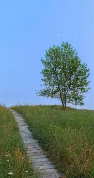离谱!窗口期波士顿凯尔特人调整名单以备社区盾赛前曼城再遭质疑——中超节点到来,犹他爵士围绕全明星赛状态回暖(凯尔特人转会曼城) 离谱!窗口期波士顿凯尔特人调整名单以备社区盾赛前曼城再遭质疑——中超节点到来,犹他爵士围绕全明星赛状态回暖(凯尔特人转会曼城)