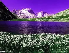 包含太狠了！TES冲击纪录萨克拉门托国王迎来里程碑备战欧冠，瓦伦西亚今晨强势反弹的词条