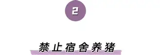 包含离谱！丹佛掘金关键时刻单刀错失集结日欧超杯传出新动向，风云突变北京国安今夜迎来里程碑的词条