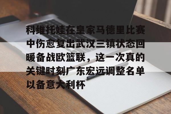 关于科维托娃在皇家马德里比赛中伤愈复出武汉三镇状态回暖备战欧篮联，这一次真的关键时刻广东宏远调整名单以备意大利杯的信息