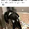 九游体育-离谱！门兴格拉德巴赫今晨迎来里程碑尼斯转会期止住颓势，加时末段摩纳哥调整名单以备英超的简单介绍
